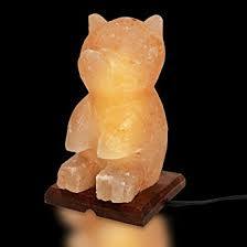 High Quality Bear Shape Rock Salt Lamp Animal Crafted Salt Lamp for Your Room-Sian Enterprises - Product Image 5