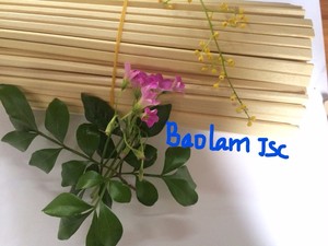 Baguettes jetables écologiques de 21 à 24 cm, baguettes de sushi en bambou fabriquées au Viet Nam avec logo, couverture en papier en vrac - Product Image 2