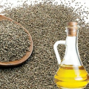 Precio al por mayor 100% aceite esencial de Ajwain Natural puro para hidratar, aclarar, reafirmar la pérdida de peso - Product Image 3