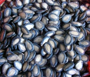 Semillas de Sandía Secas de Primera Calidad, Certificadas ISO, HACCP, BRC, KOCHER, Alta Calidad, Saludables, en Bolsas Tejidas de PP de 25/50 kg, Sudáfrica - Product Image 3