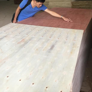 "Vietnam E1 Madera contrachapada de álamo 4X8 Durable Sin formaldehído Económico Empaquetado de forma segura" - Product Image 1