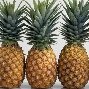 Piña Tropical de Primera Calidad, 100% Natural, Fresca y de Buen Sabor, al Mejor Precio al por Mayor - Product Image 2