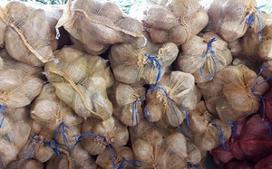 Noix de coco sèche en gros au Vietnam à bas prix - Product Image 6