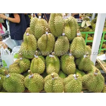 FRESCO DURIAN IMPORTATORE