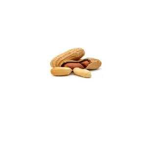 BIG MARKET VIET NAM RAW PEANUT/ FRIED PEANUT WHOLE SALE 2021 +84 845 639 639