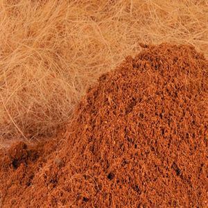 COCOPEAT หลวมในเวียดนาม - Product Image 2