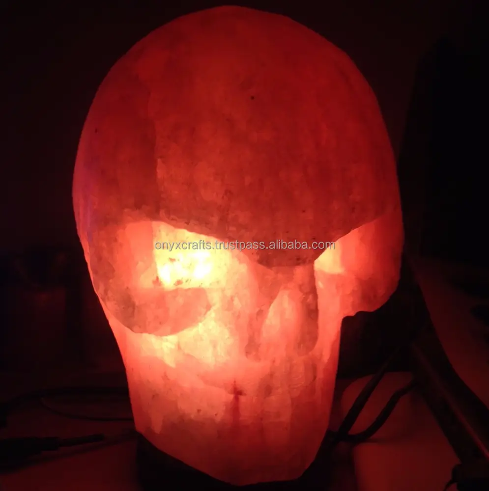 100% completa Del Cranio Realizzato Himalayano Lampada di Sale
