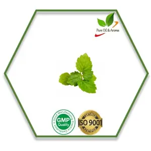 Aceite de hierbas naturales 100% puro para difusores de Aroma, aceite de pachuli de grado terapéutico para piel/cuerpo/precio a granel