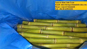 Caña de Azúcar fresca (sin piel) - Product Image 3