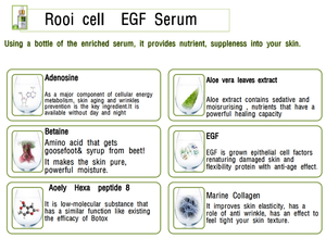 [ROOICELL] Sérum Facial EGF 30ml, Sérum Ordinario, Cosmética Coreana, Tratamiento Reafirmante para el Rostro, Belleza Femenina, Juventud - Product Image 2