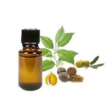 Aceite esencial de nuez moscada de grado terapéutico puro y natural 100%, masaje de aromaterapia para cosméticos de suministro a granel, apariencia líquida - Product Image 5