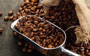 ผู้จำหน่ายอบแห้งกาแฟดำในเวียดนาม - Product Image 2