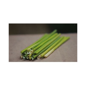 Pailles à boire en verre de cristal organique Option d'accessoires de bar sûrs et durables pour les restaurants - Product Image 1