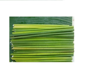 Pajitas para beber hierba - Product Image 1