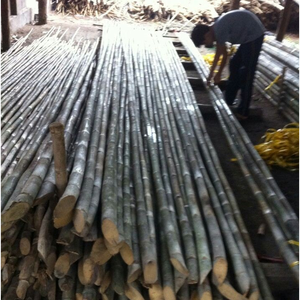 ผู้จัดจำหน่ายราคาต่ำสุดเสาไม้ไผ่ - Product Image 2