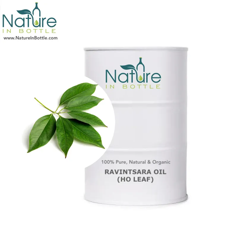 Ravintsara Minyak Esensial | Cinnamomum Camphora Ct Sineol | Minyak Daun Ho-100% Murni dan Alami-Harga Grosir Grosiran