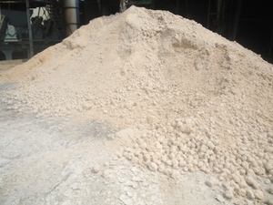 RESIDUO DE YUCA/PELLETS DE TAPIOCÁ - Product Image 3