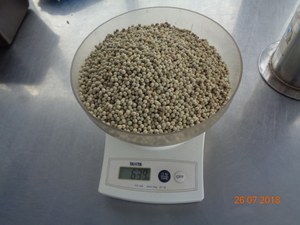 พริกไทยดำเวียดนามลดราคาพิเศษ 500GL 550GL ผ่านการคัดแยกด้วยเครื่องจักร สะอาด 100% ธรรมชาติ ขายส่งจำนวนมาก ส่งออก - Product Image 2