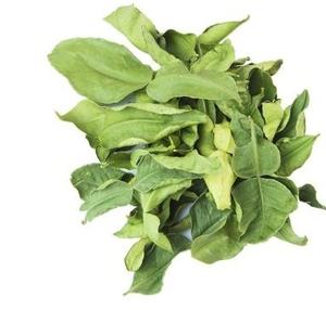 Lima seca en 2021 - Product Image 1