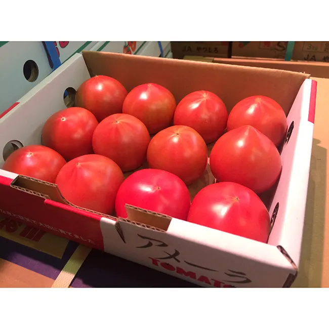 신선한 토마토를 위한 일본 개인 상표 상표 구입 명세