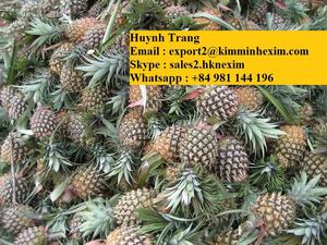 ผลิตภัณฑ์ MD2 สับปะรดสดและสับปะรดควีน ฉ่ำและกรอบ - Product Image 2