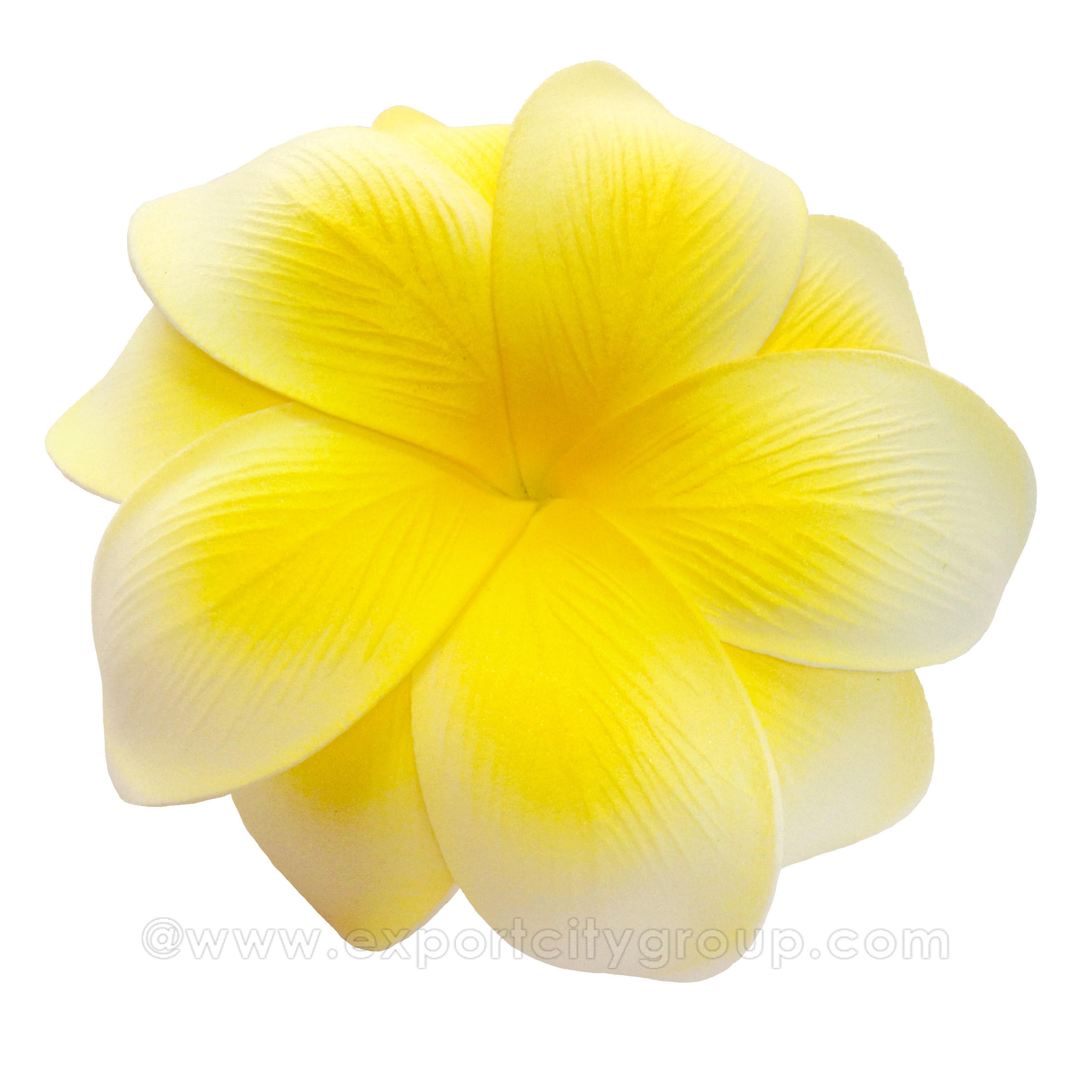 สีเหลือง