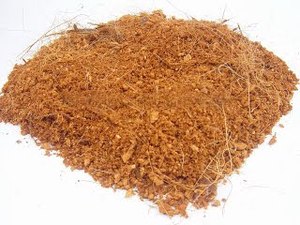 PEAT COCO GRANEL PRECIO BARATO - Product Image 3