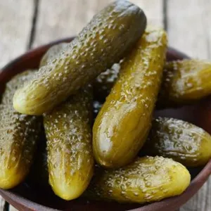 Máquina de fabricação de pickle plástica 2022