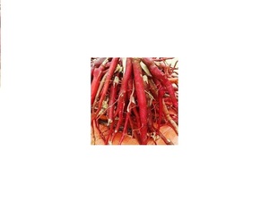 เวียดเดลต้า มิส ฮอลิเดย์ เฟรช เวียดนาม คูร์คูลิโก ออร์คิด ไรโซม - Product Image 1