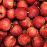 Свежие королевские яблоки Gala, Fuji, золотые вкусные, красные вкусные яблоки