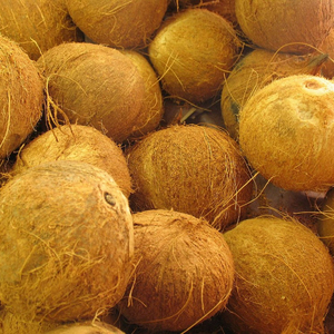 Coco seco de alta calidad de VIETNAM - Product Image 4
