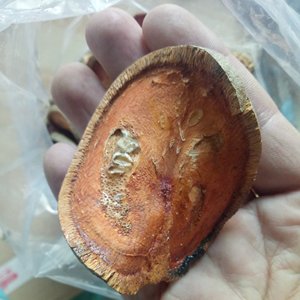 ผลไม้บาเอลพรีเมียมแบบฝานดิบ ชาไทย บาเอลอบกรอบ ชาผลไม้บาเอล - Product Image 4