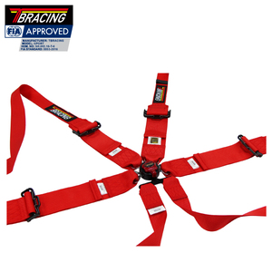 Protector de Hombro Inflable con Logotipo OEM, Retractor de Cinturón de Seguridad, Poliéster, Homologado por la FIA para 1969-1988, 6 Puntos - Product Image 2