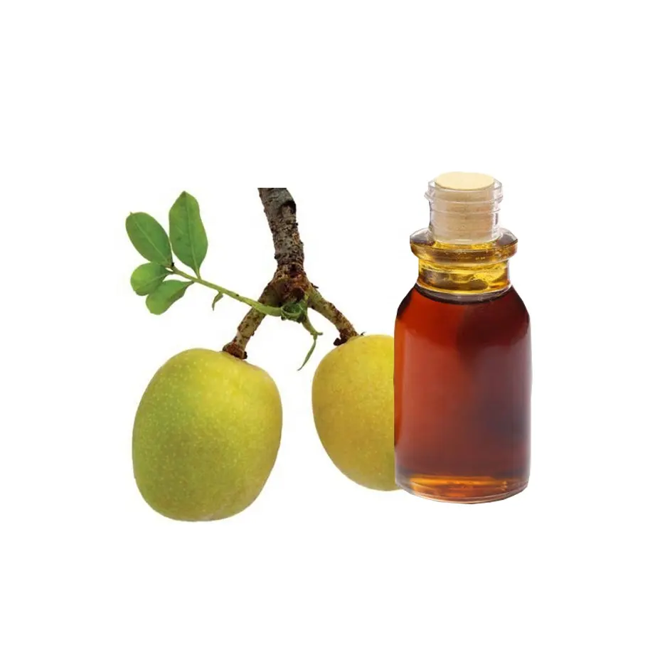 Premium Quality GMP Certified Marula Oil Prevents and Treats Skin Conditions Buy bulk from India