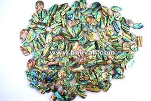 Precio del Concha de Abulón por Gramo - Product Image 5