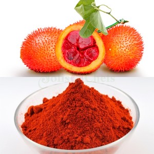 NATURAL VIETNAMESE GAC FRUIT POWDER HIGH LYCOPENE RED MELON POWDER FOR HEALTH SUPPLEMENT - Product Image 2