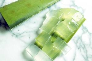 Los mejores dados de Aloe Vera-Pulpa de Aloe Vera de Vietnam - Product Image 4