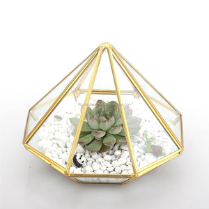 Home Perfect Geometric Glass Terrarium with Black / Gold Metal <b>Frame</b> for Air Succulent <b>Plant</b> - Product Image 1