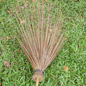 PALOS DE COCO ECOLÓGICOS PARA HACER ESCOBA/PRECIO AL POR MAYOR - Product Image 1