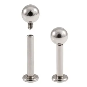 16G Intern Schroefdraad Zilver G23 Titanium Labret Piercing Sieraden Lip Labret Studs