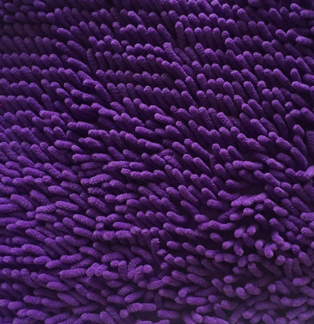 Viola