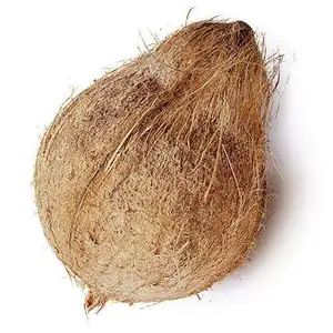 Semi Husked Coconut/ Raw Coconut/ Raw Kobbari WHATSAPP +0084 845639639
