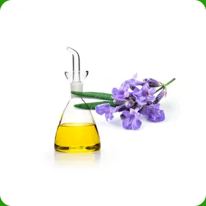 Wide Collection of Pure Organic Lavender Essential Oil for Wholesale Buyers