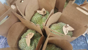 คุณภาพสูง IQF Durians เนื้อสำหรับการส่งออกในปี2020 - Product Image 2