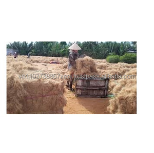 2020 fibre de noix de coco fibre de noix de coco à vendre au Vietnam fibre de coco brute durable pour la filature tissée et le remplissage - Product Image 1