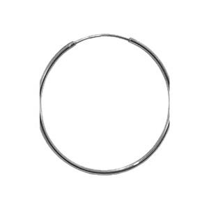 Sterling Silver <b>Fashion</b> <b>Hoop</b> <b>Earring</b> - Product Image 1