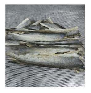 VENTE EN VRAC PEAU DE CHAT SÉCHÉE BON PRIX ET HAUTE QUALITÉ Mme Holiday - Product Image 2