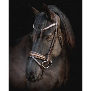 Bride en cuir pour cheval plié - Product Image 2