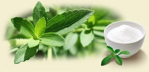 STEVIA REBAUDIANA ผงหญ้าหวานผง - Product Image 4