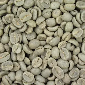 Endonezya Arabica Gayo yeşil kahve çekirdekleri